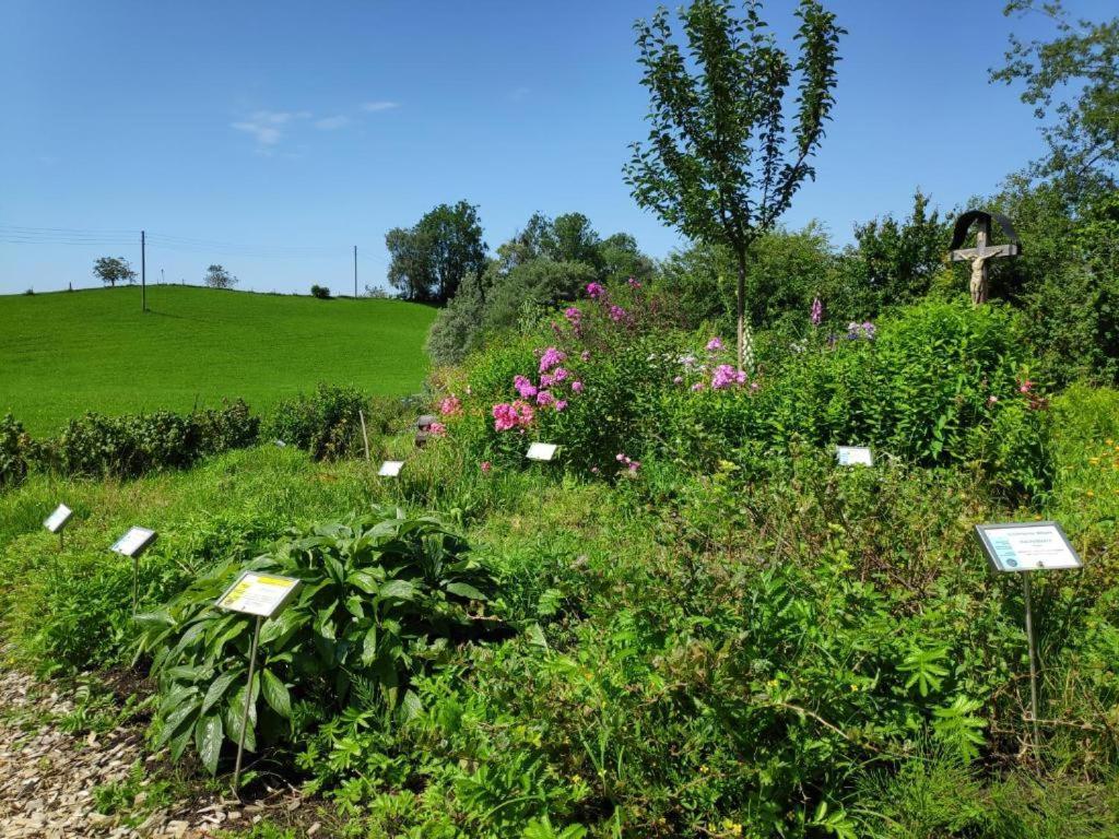 Ferienwohnung Allgaeuglueck Im Ferienpark Oberallgaeu Mit Hallenbad, Sauna, Wlan Missen-Wilhams Εξωτερικό φωτογραφία